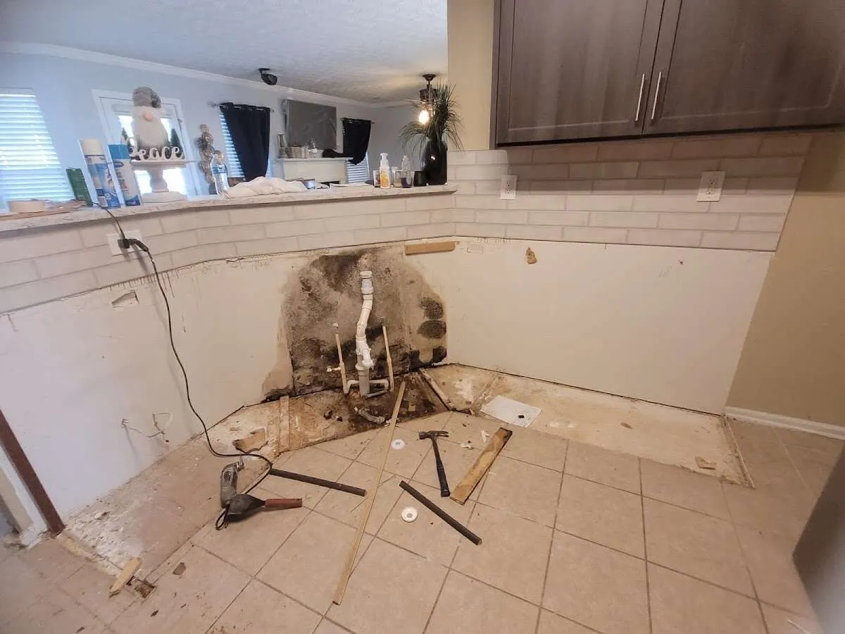 Mold behind wall with plumbing during Flood Damage Cleanup in Lehi